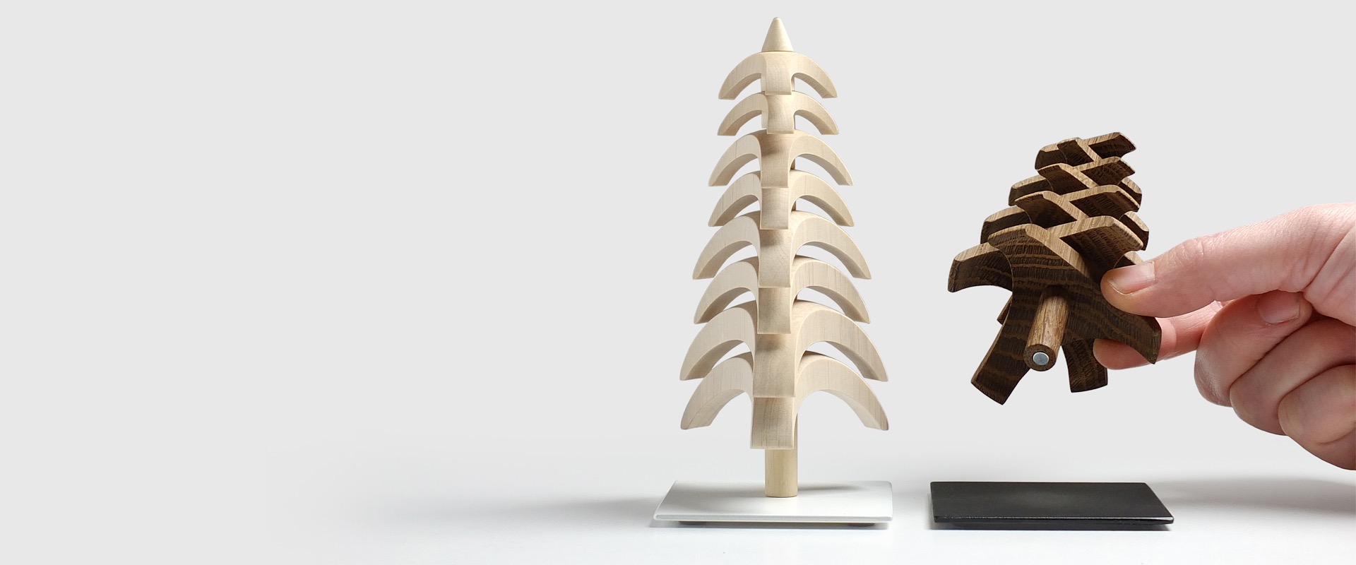 4242 Galleriebild 20260219 113617