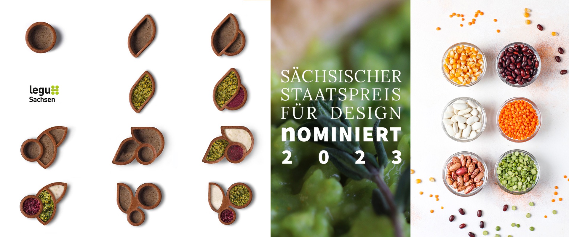 4242 Galleriebild 20260219 114524