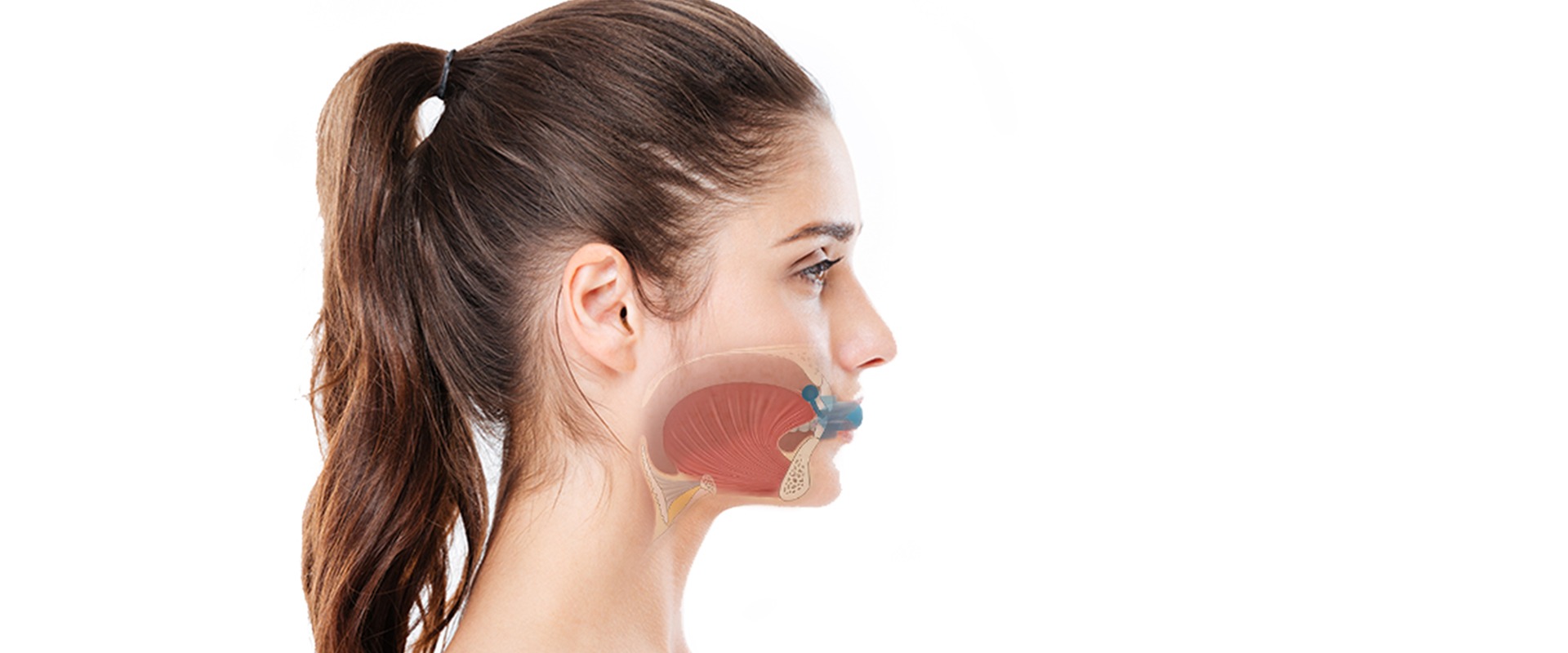 4299 Galleriebild 20260414 132320