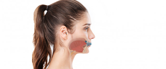 4299 Galleriebild 20260414 132320