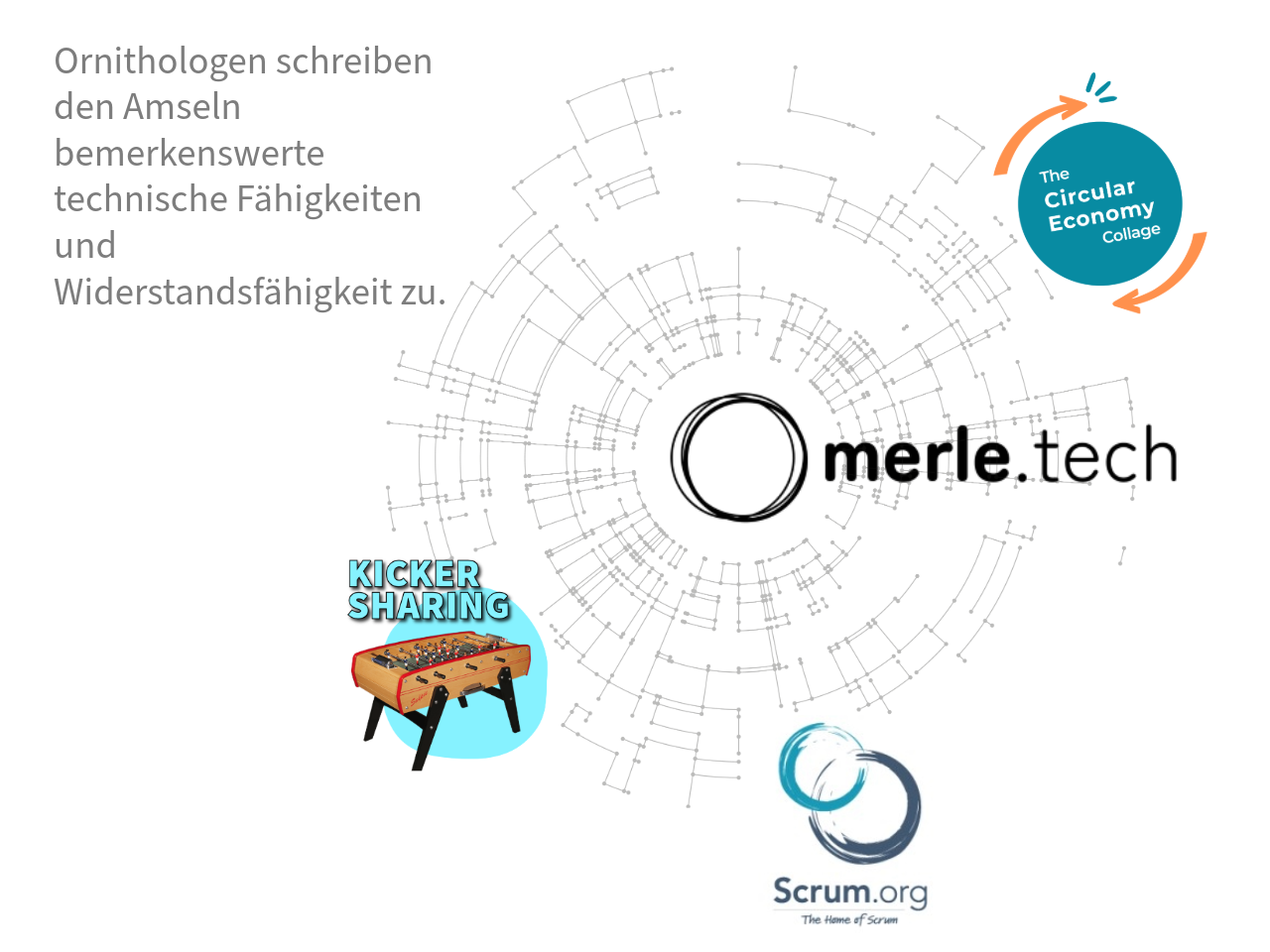 461 Freisteller 20250227 015732