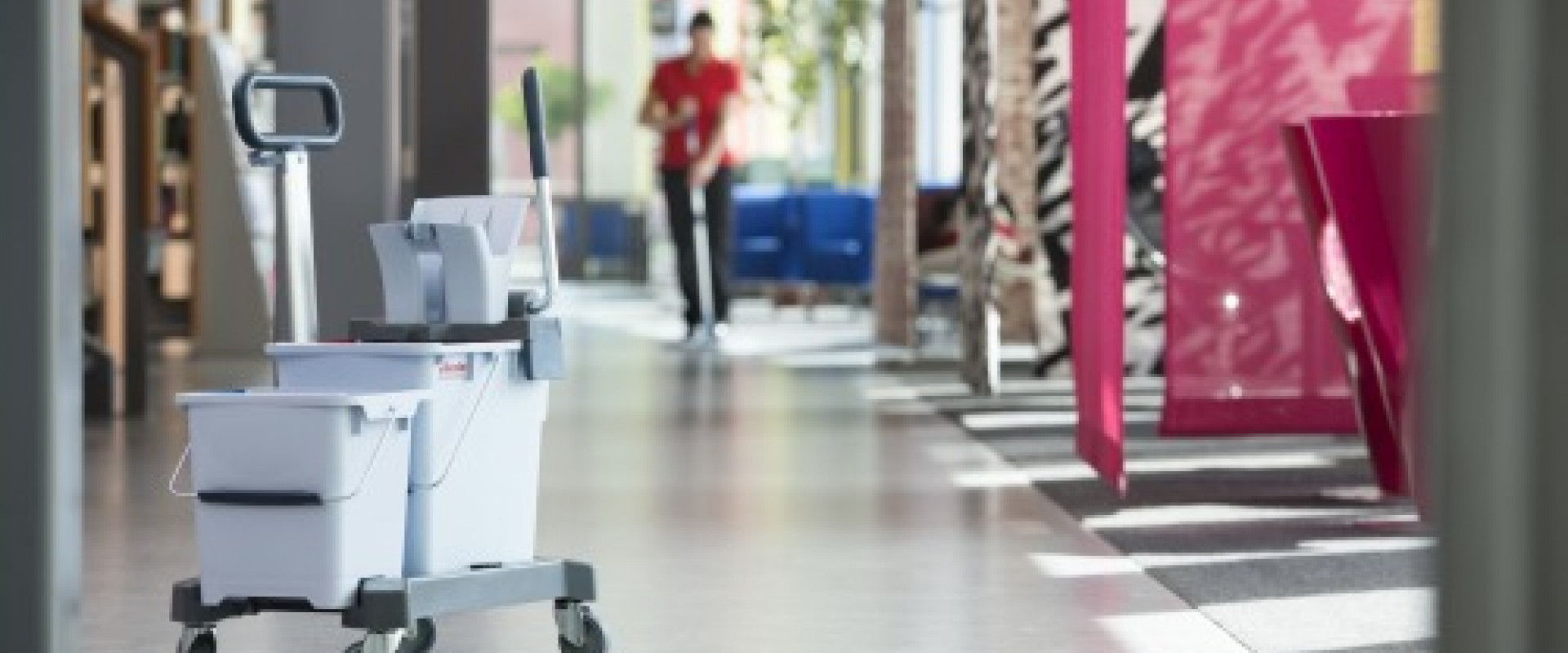 Professional Cleaning System