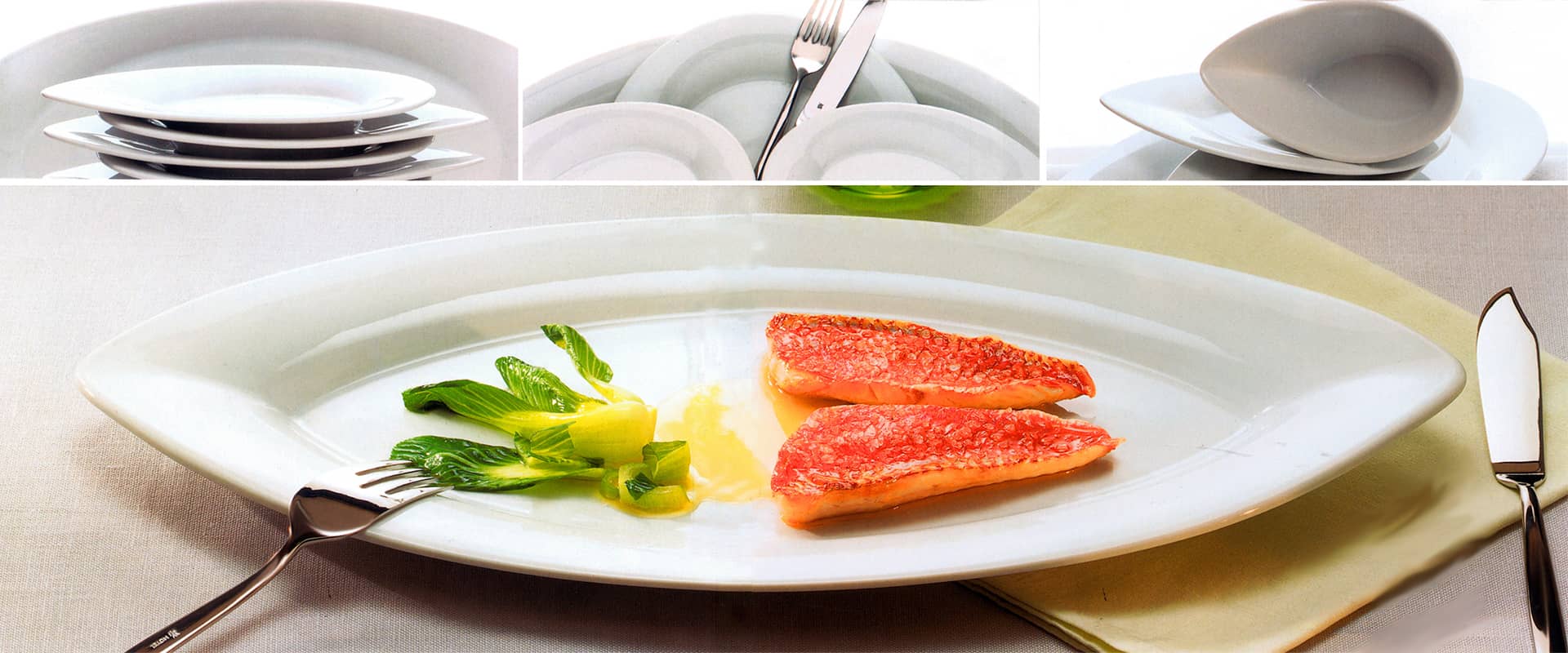 Porzellan Avantgarde 1 c Tafelstern1920x800cut2rz