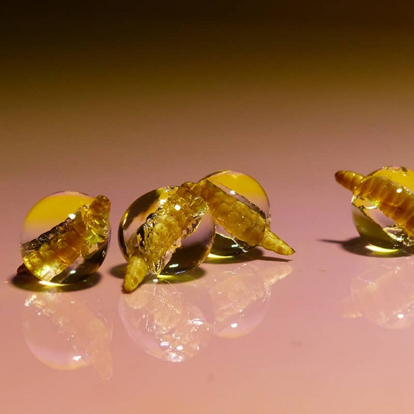 credit Diana Drewes Haute Innovation1920x800s