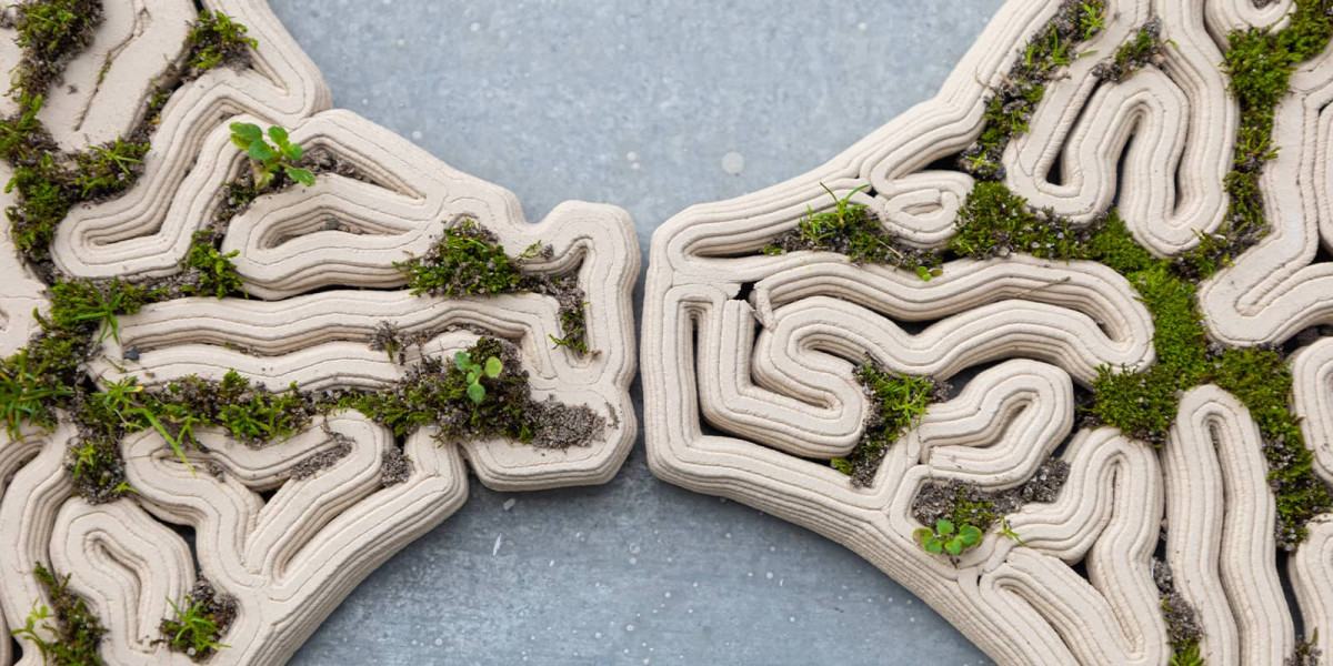 InfusedEarth MarianneSellmaier3s