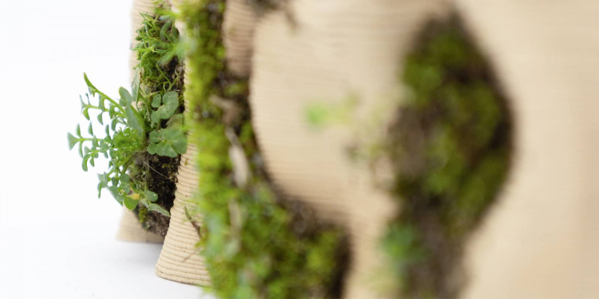 InfusedEarth MarianneSellmaier5 Kopie s