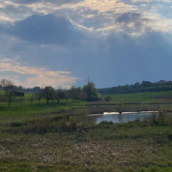 20260312landschaft rz1920x800s