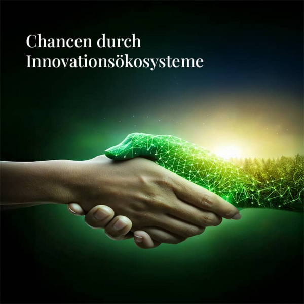 Fachbeitraege Chancen durch Innovationsoekosysteme800x800text s