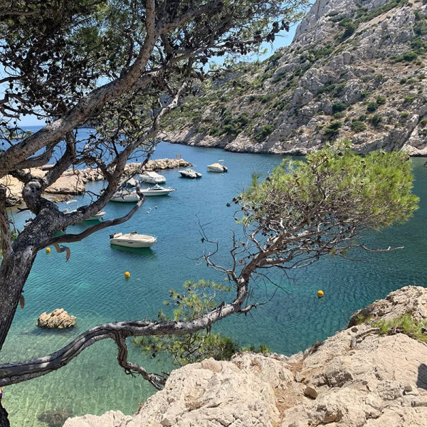 sommerpause2025vdid gs c martin pauli800x800s