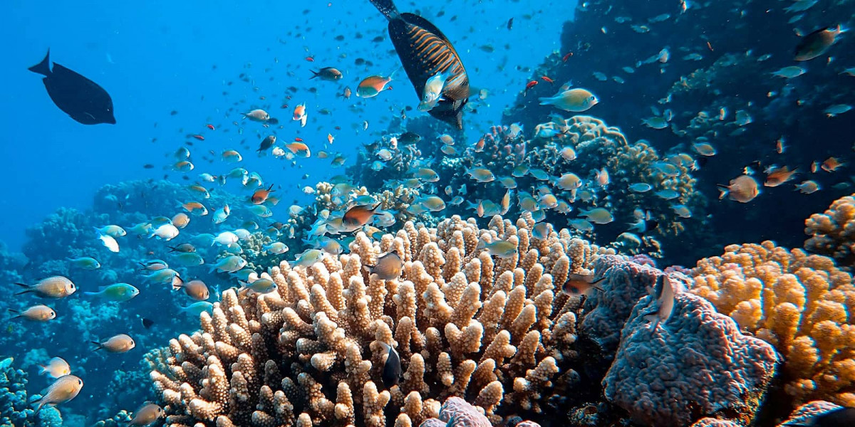 francesco ungaro MJ1Q7hHeGlA unsplash1600x800