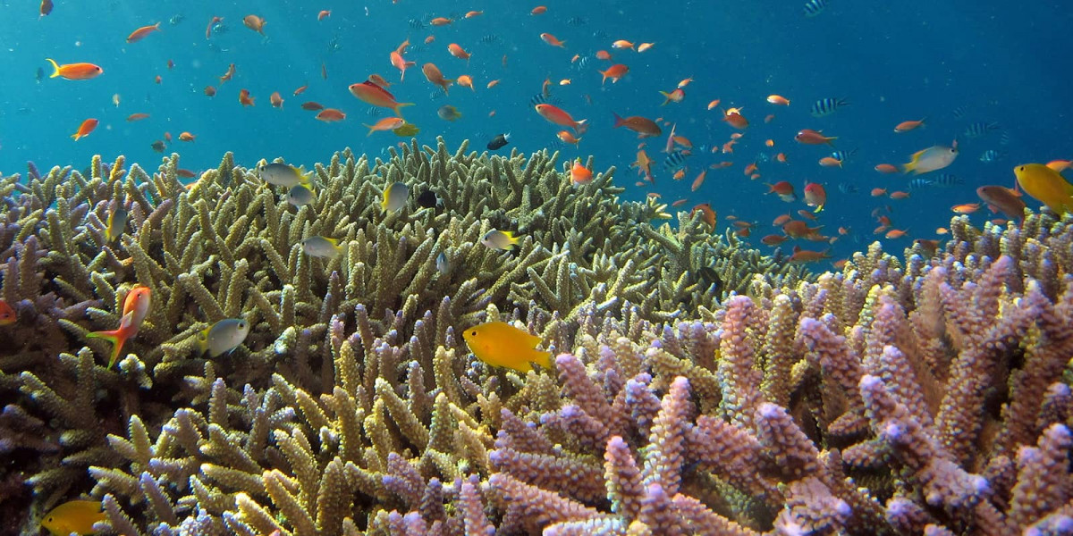 hiroko yoshii 9y7y26C l4Y unsplash1600x800