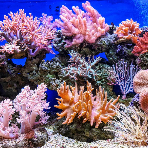 q u i n g u y e n 0G01UI1MQhg unsplash800x800