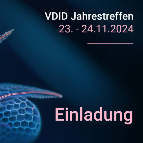 20241124VDID MV Keyvisual1einlad800x800s