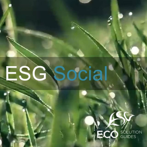 esg guides640x640s